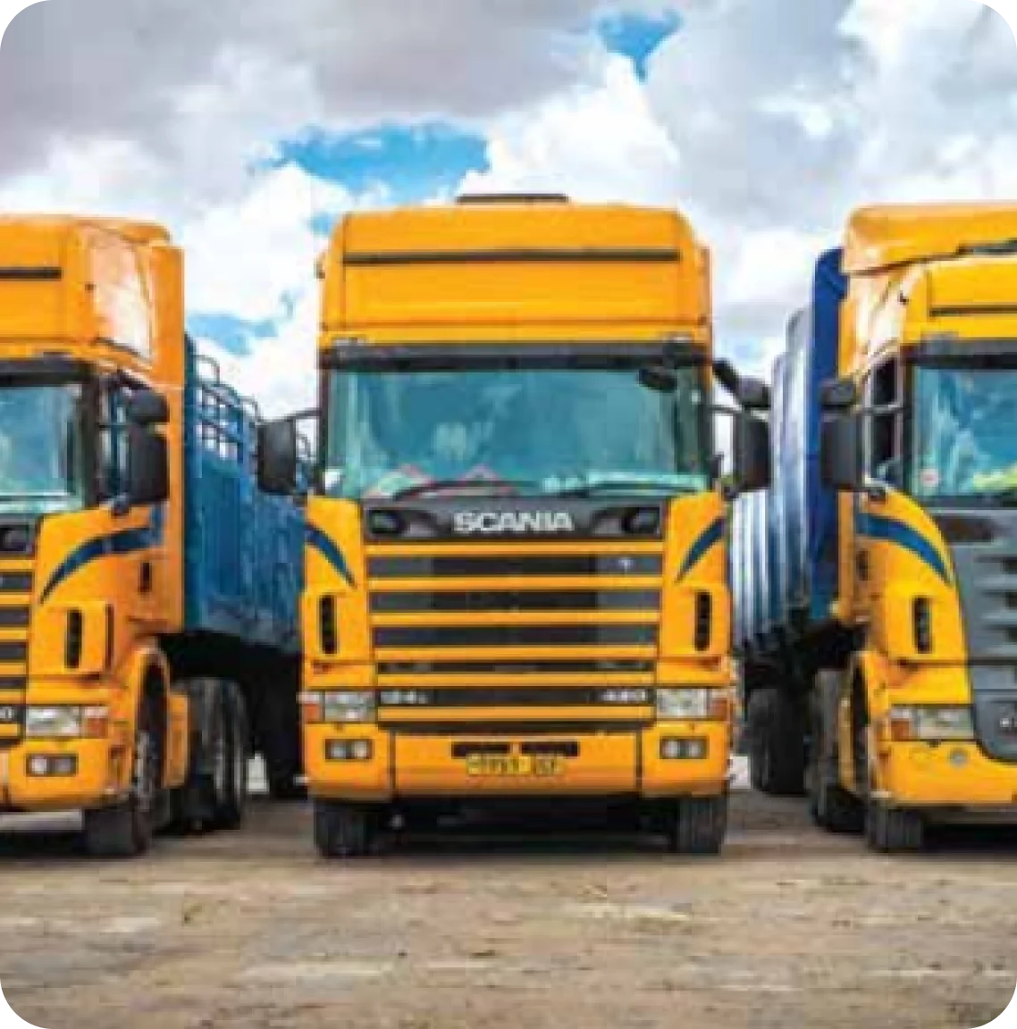 OUR MODERN FLEET